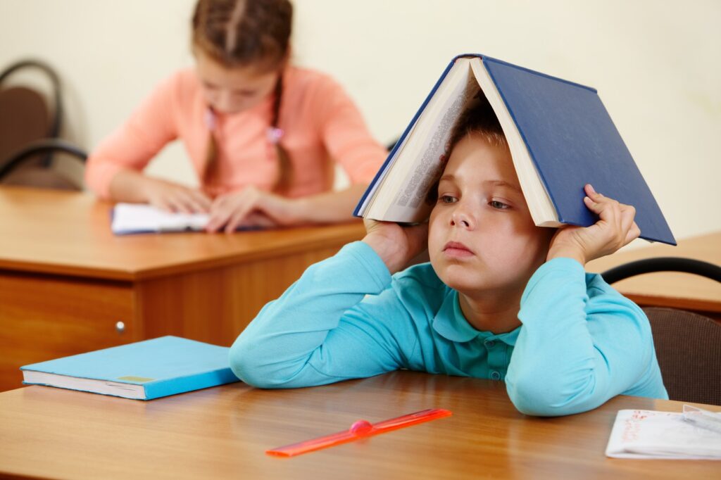 web school отзывы