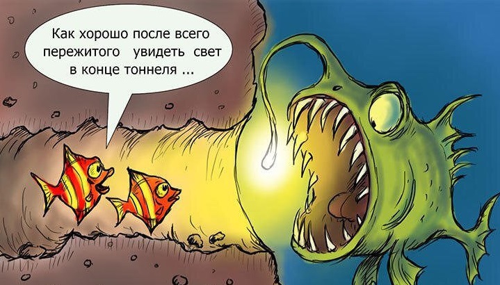 аледо отзывы