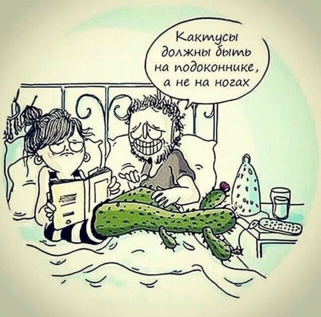 веста-север отзывы